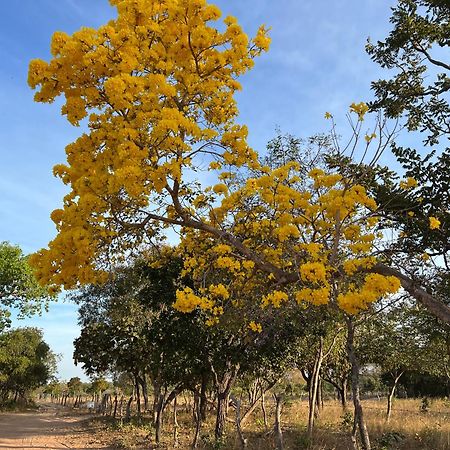 Fervedouro E Pousada Por Enquanto 托坎廷斯州圣费利克斯 外观 照片